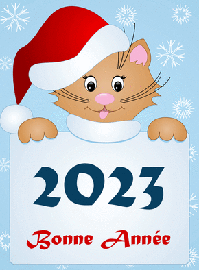 Carte Le Chat Et Son Bonnet Pour Une Bonne Année 2023 : Envoyer une